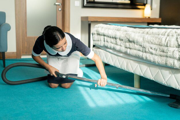 "Elite Winds Carpet Dry Cleaner in Panchkula - Specialised dry cleaning for immaculate carpets."