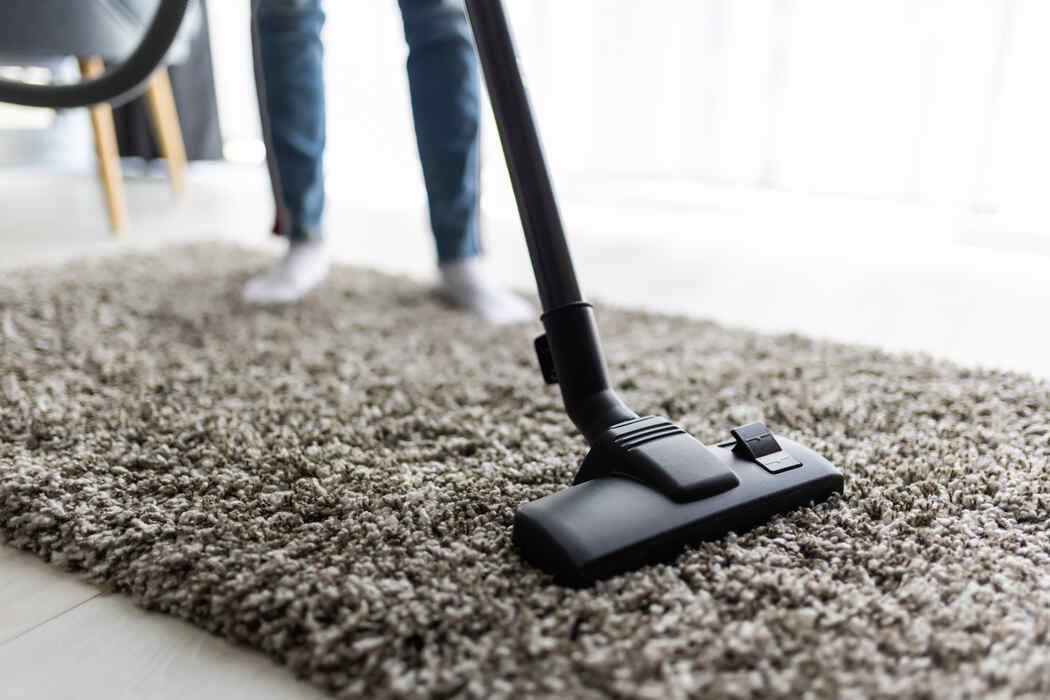 "Elite Winds Carpet Cleaner in Panchkula - Expert carpet cleaning for a pristine home."