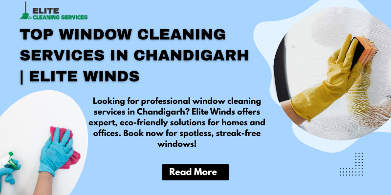 window cleaning services