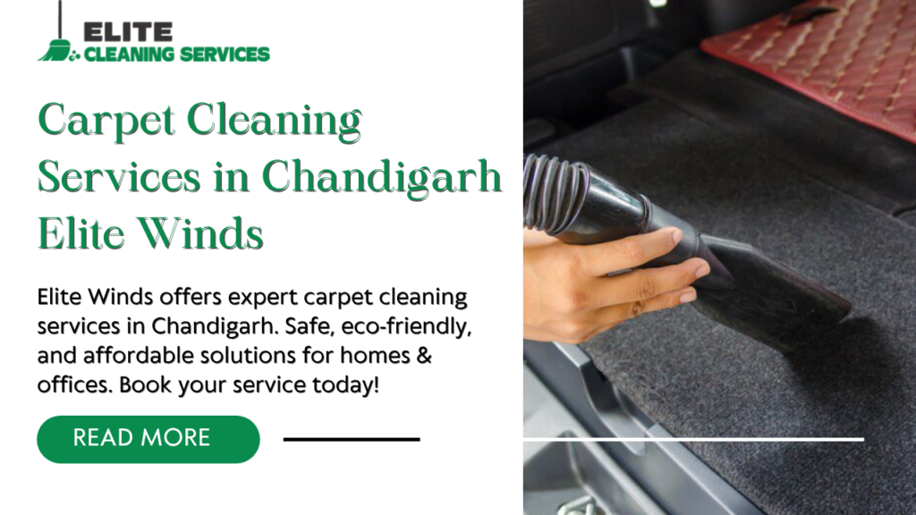 Carpet Cleaning Services in Chandigarh