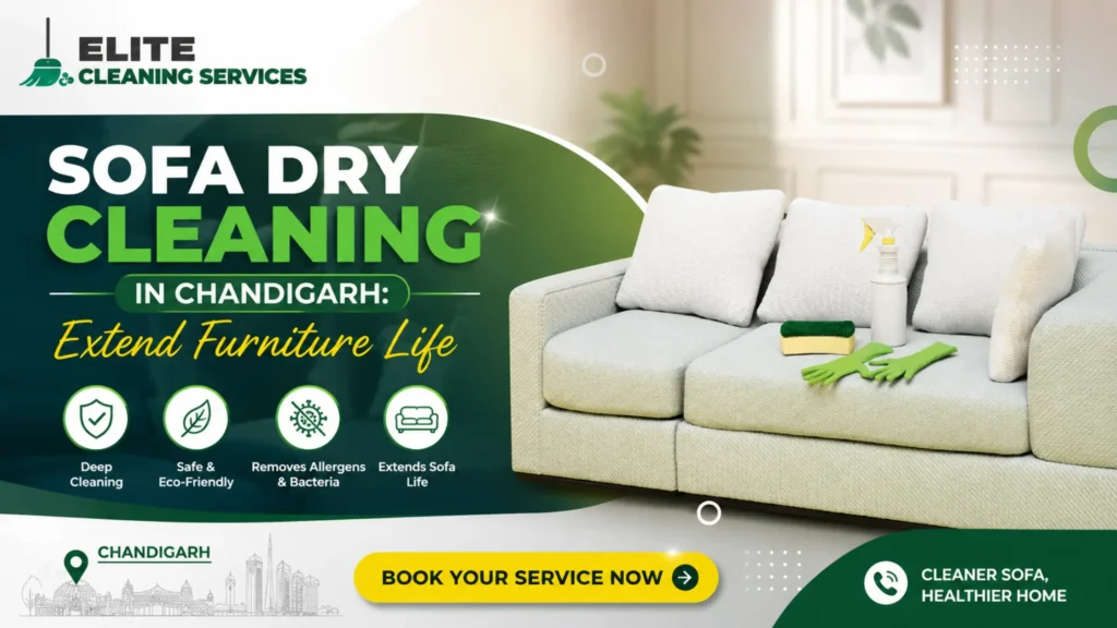 Why Regular Sofa Dry Cleaning Extends Furniture Life in Chandigarh
