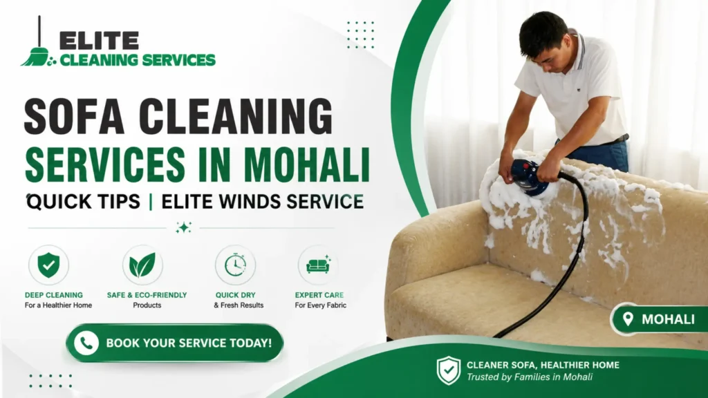Sofa Cleaning Services in Mohali - Quick Tips | Elite Winds Service